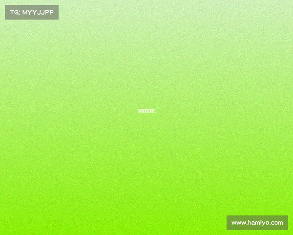 广东佛山散打队